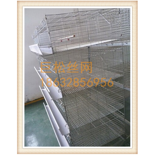 安平巨松水貂笼网其他金属建筑/建材