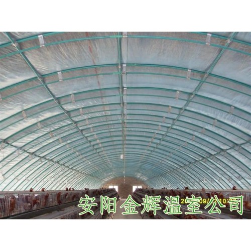 其他畜牧业副产品，安阳养殖大棚骨架，食用菌大棚建造，养鸡大棚建设，安阳金辉公司