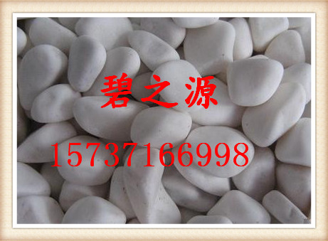休宁县钢厂4-8mm鹅卵石生产厂家 粒径