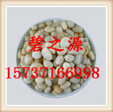 廊坊生产鹅卵石主要用于水处理垫层滤料、新型环保材料