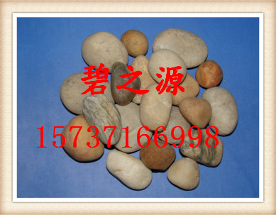 河间生产鹅卵石主要用于绿化等方面、用量用法