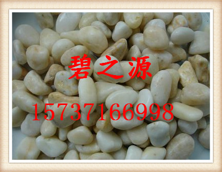忻州生产鹅卵石鱼缸专用鹅卵石滤料、量大从优