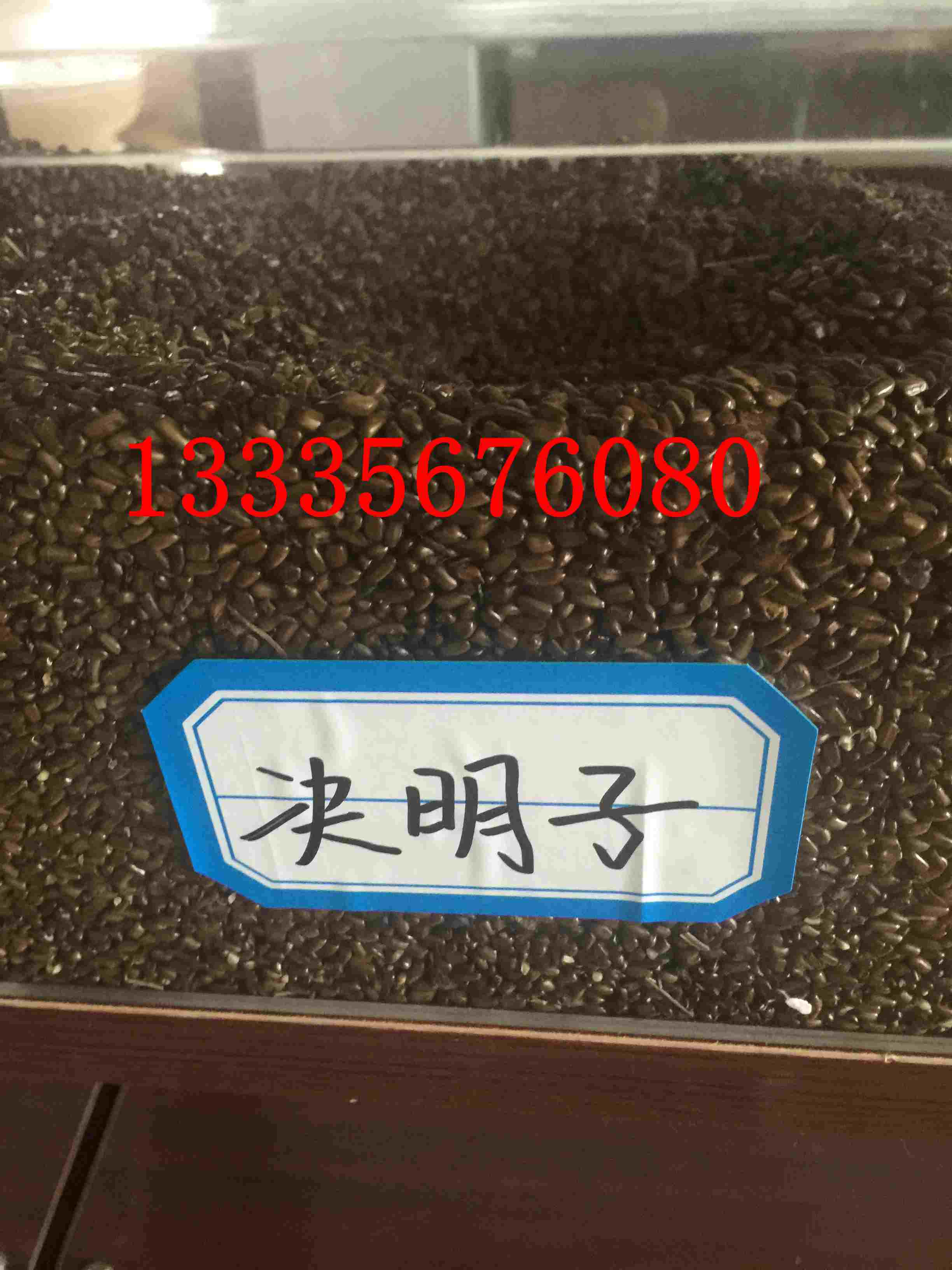 决明子种子价格 草决明种子价格