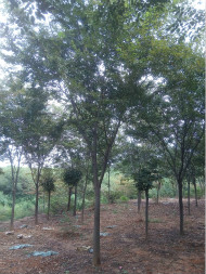IMG_20161003_132010_meitu_2