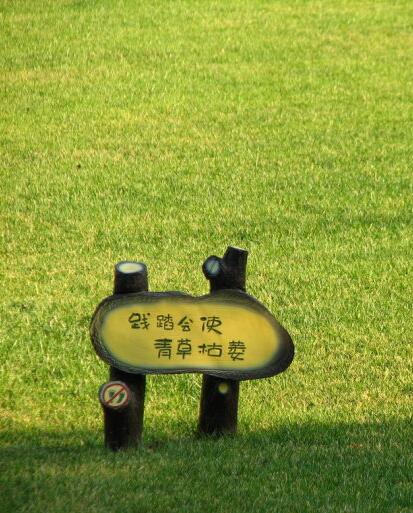 青草坪