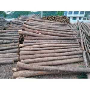 打桩原木1-6米