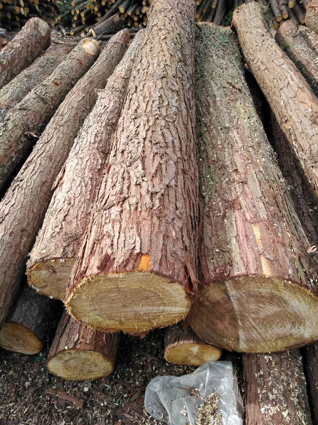 两米打桩原木