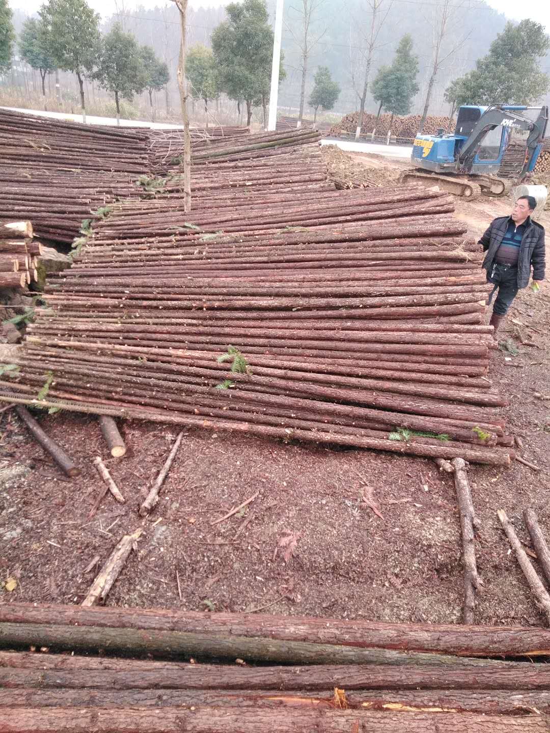 绿化支撑杆、打桩原木
