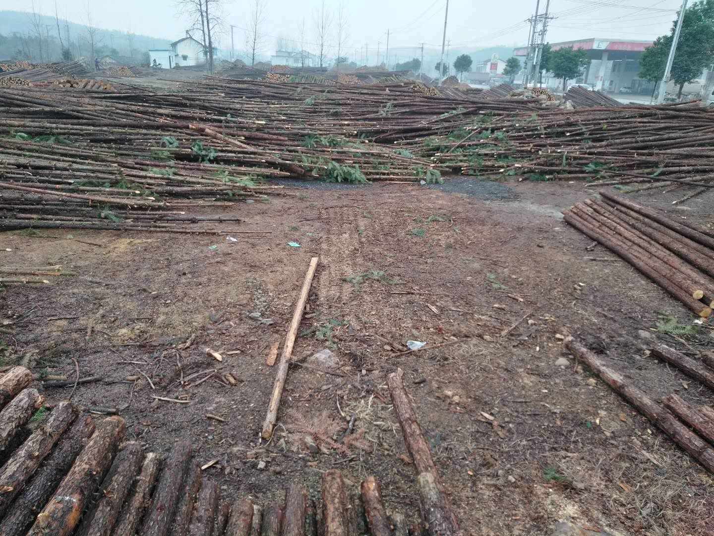 绿化支撑杆1-6米