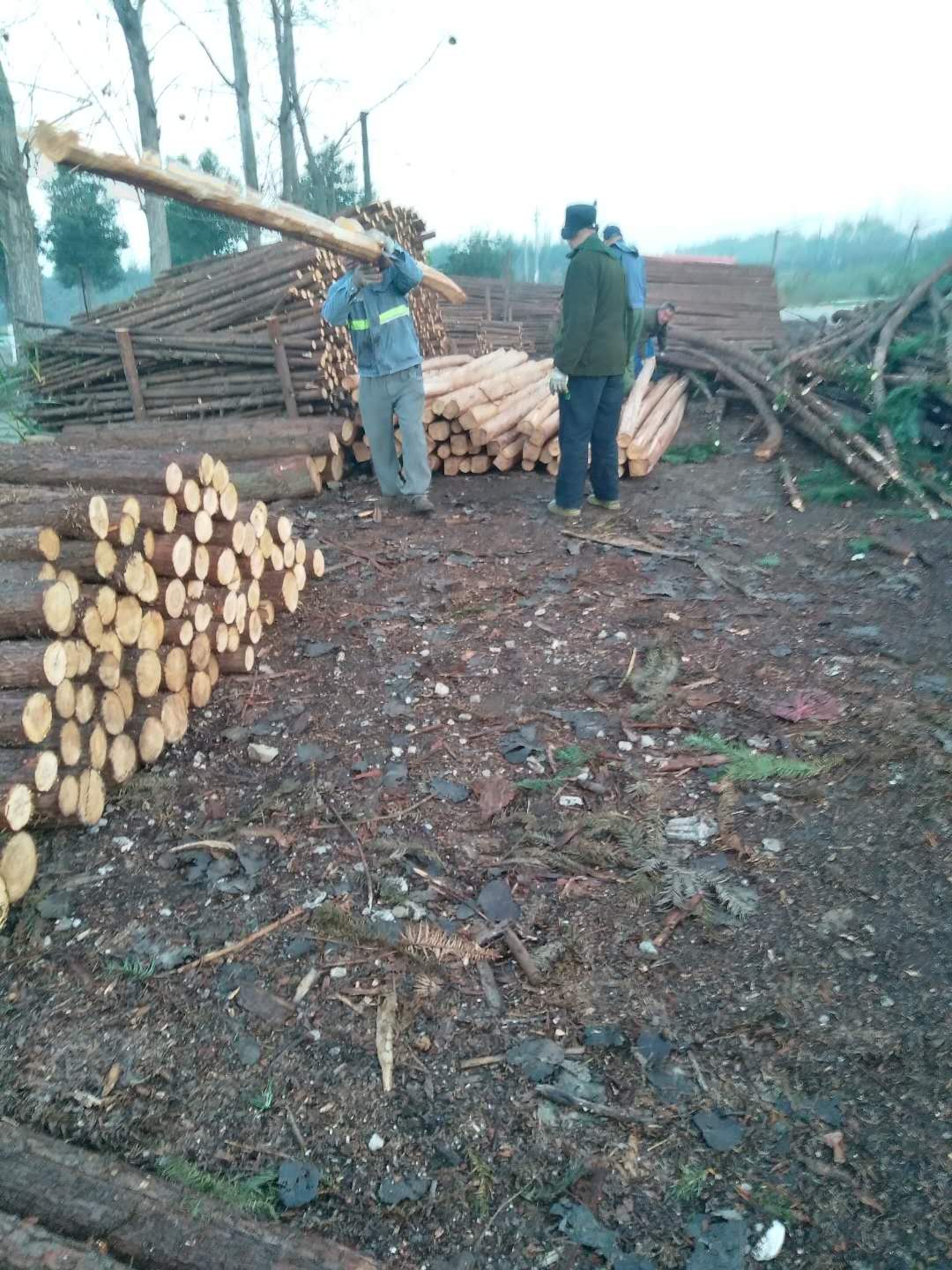 建房用领条