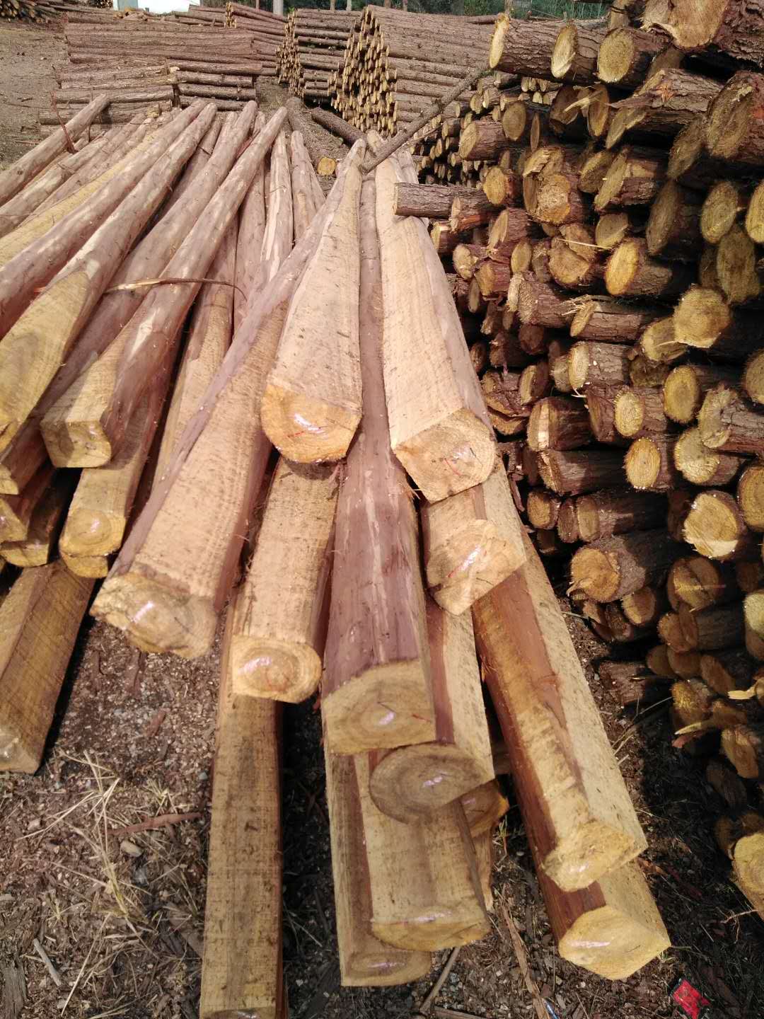 建房用领条