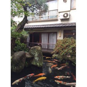 鱼池水过滤设备