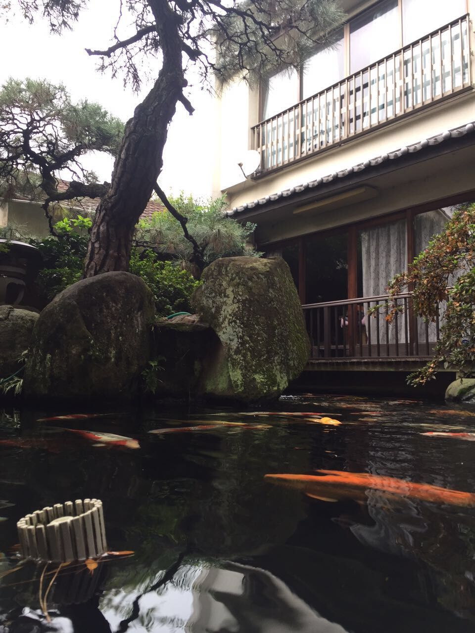 鱼池水过滤