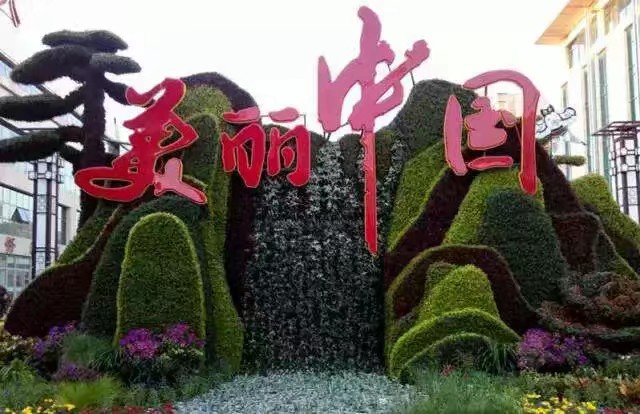 五色草造型