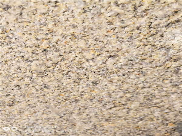 黄金麻基地