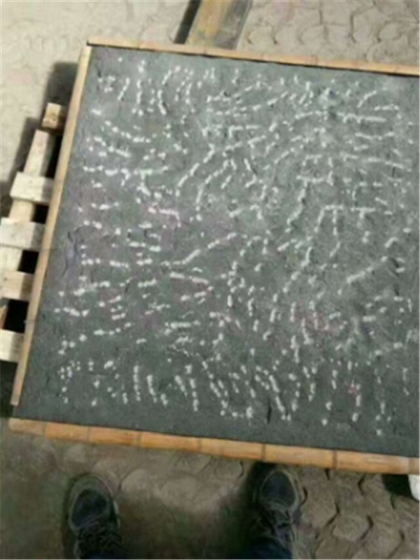 中国黑菠萝面