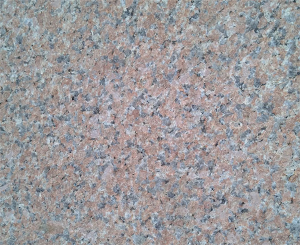 石岛红新8号火烧