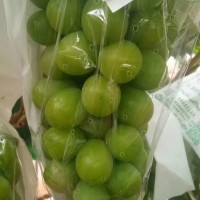 阳光玫瑰