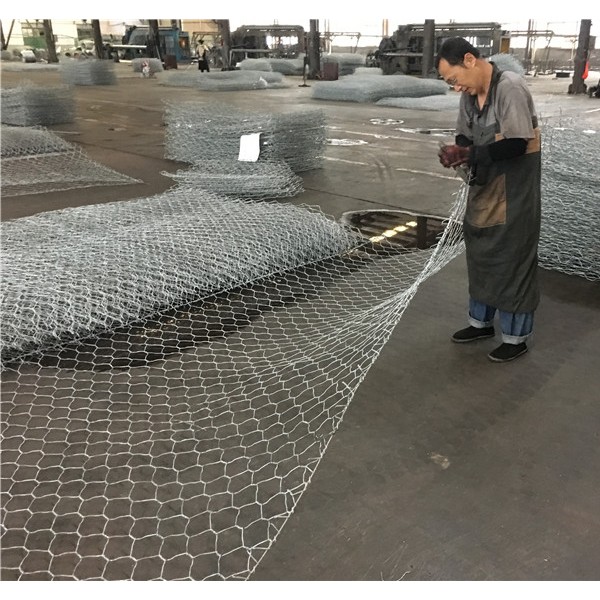 格宾网