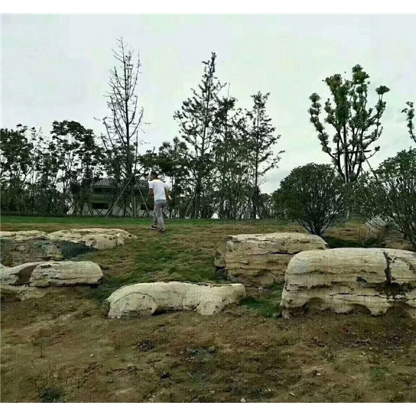 草坪石