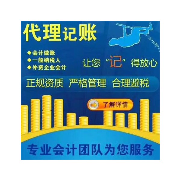 财务公司/财务记账