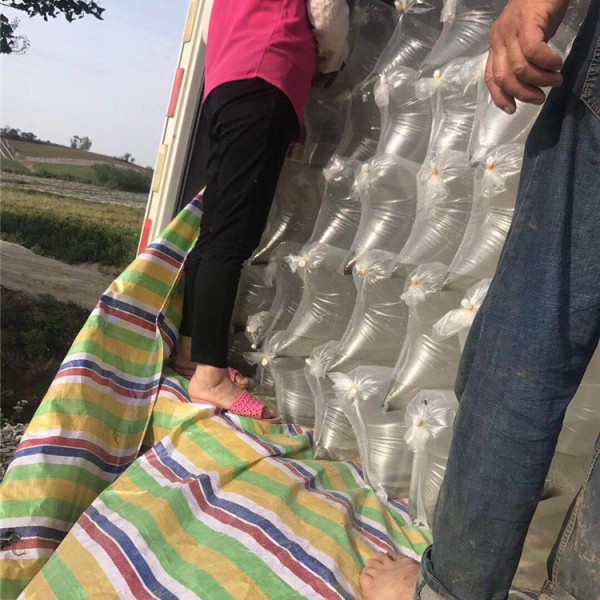 装车中