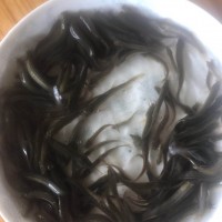 台鳅寸苗