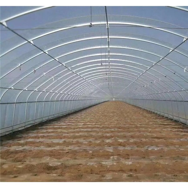 大棚椭圆管批发