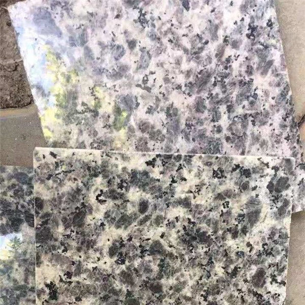 豹皮花