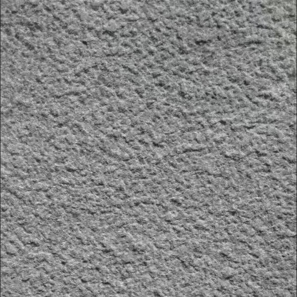 雅蒙黑荔枝面