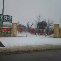 基地展示