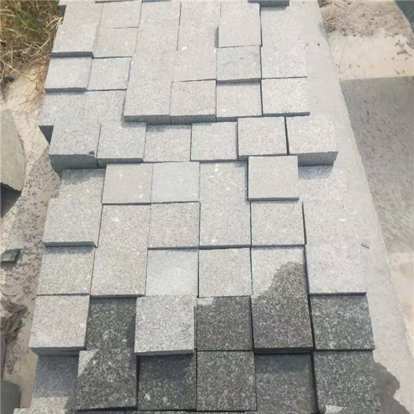 万年青