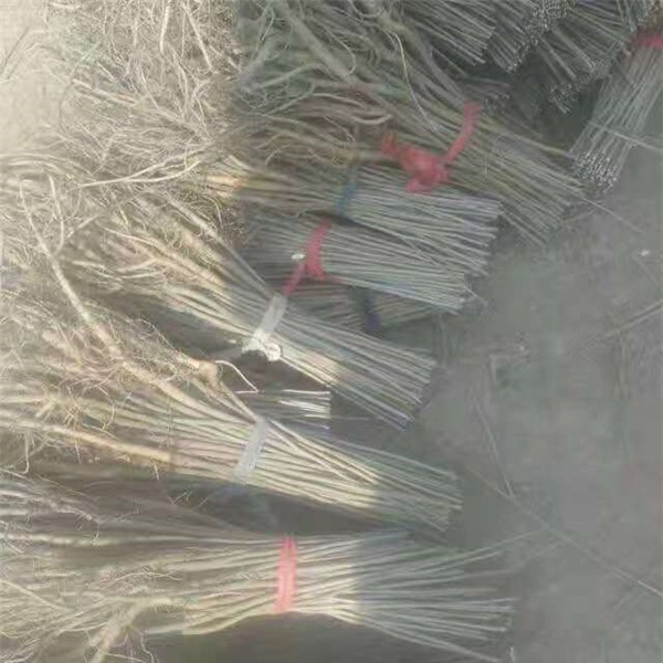 准备发货