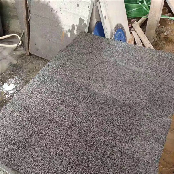 中国黑荔枝面
