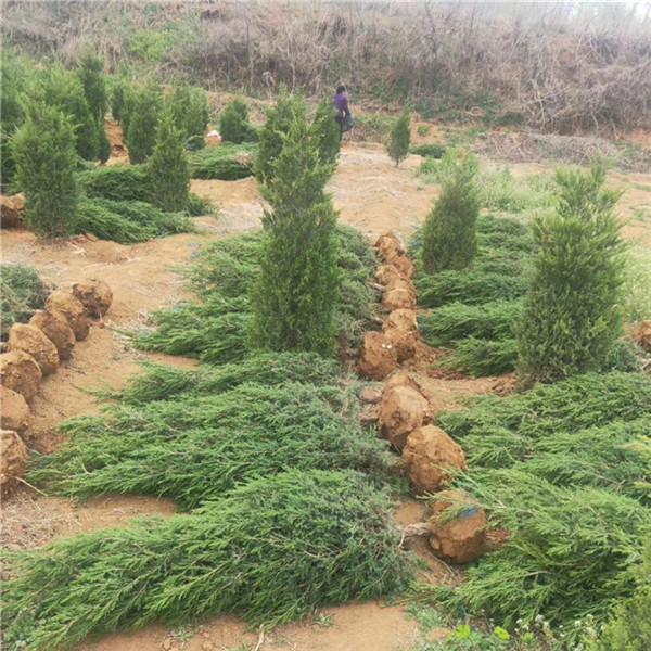 蜀侩基地