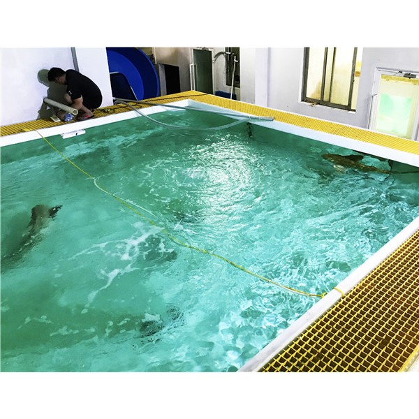 水产养殖池边走道