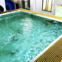 水产养殖池边走道