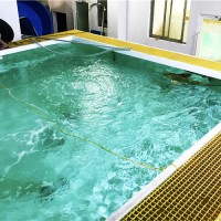 水产养殖池边走道