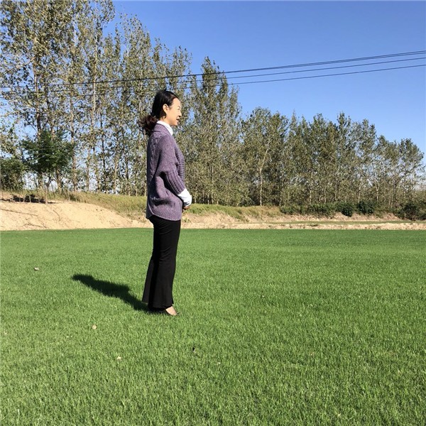 草皮