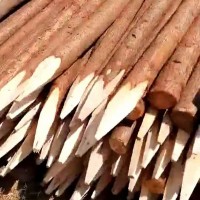 河道打桩木