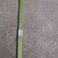 中国黑荔枝面