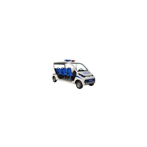 LT-S6.PAC电动车