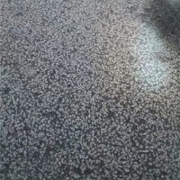 蒙古黑荔枝面