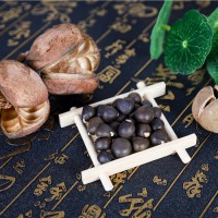 文冠果种子