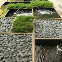 优质园林鹅卵石铺路石水池石溪水石
