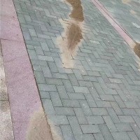 福建青