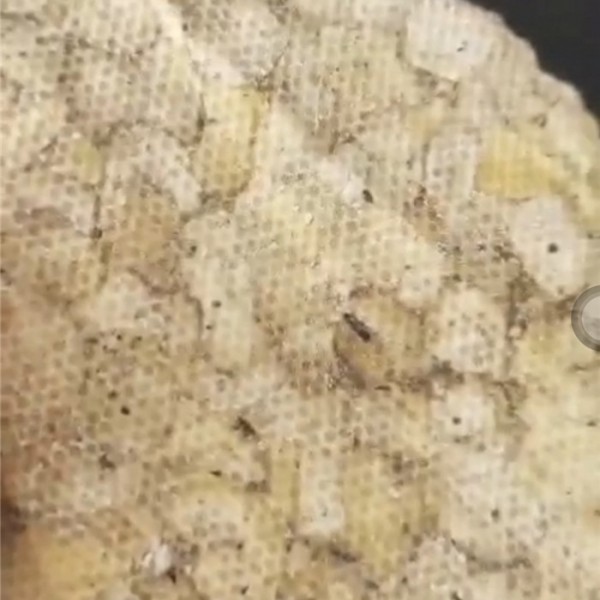 文冠果油粕