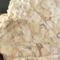 文冠果油粕