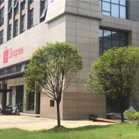板材效果图