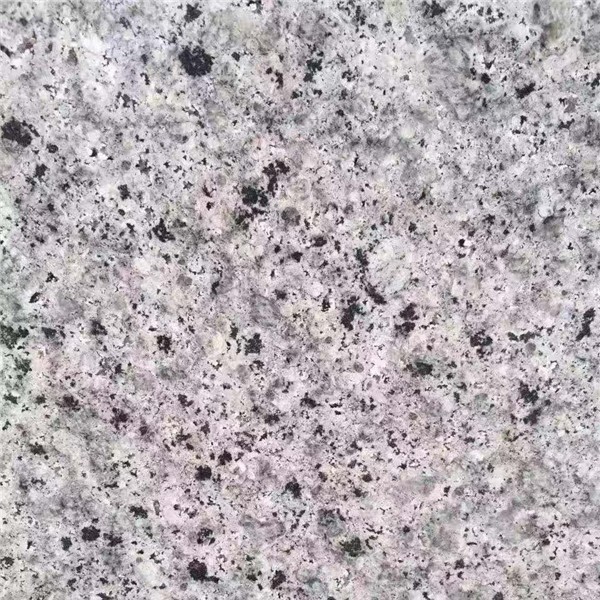 珍珠兰
